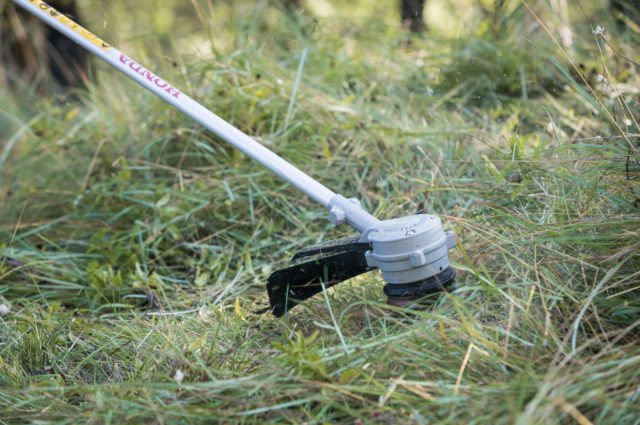 Honda cordless sales lawn trimmer